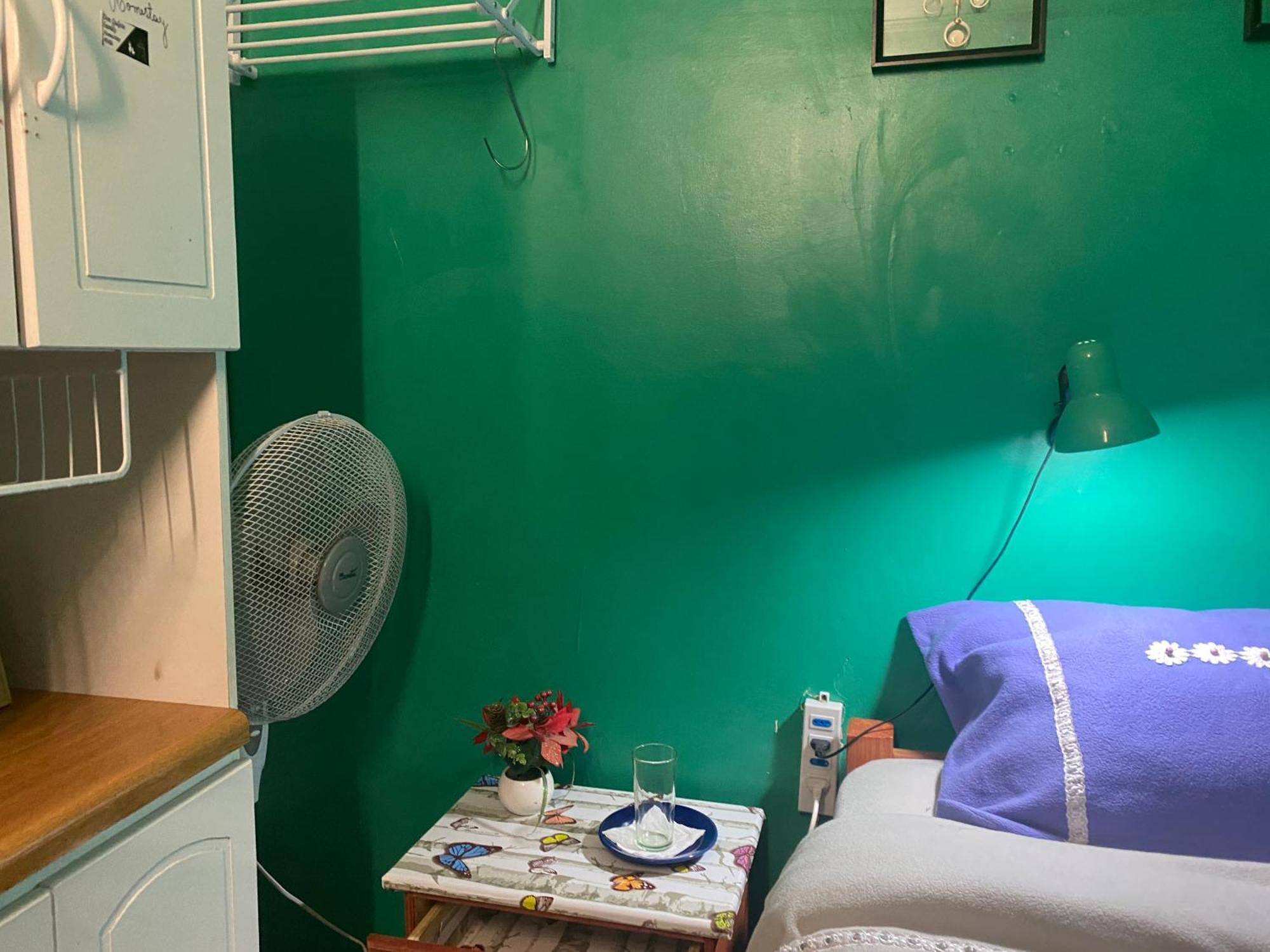 Don Quijote Family Homestay Santiago Eksteriør bilde